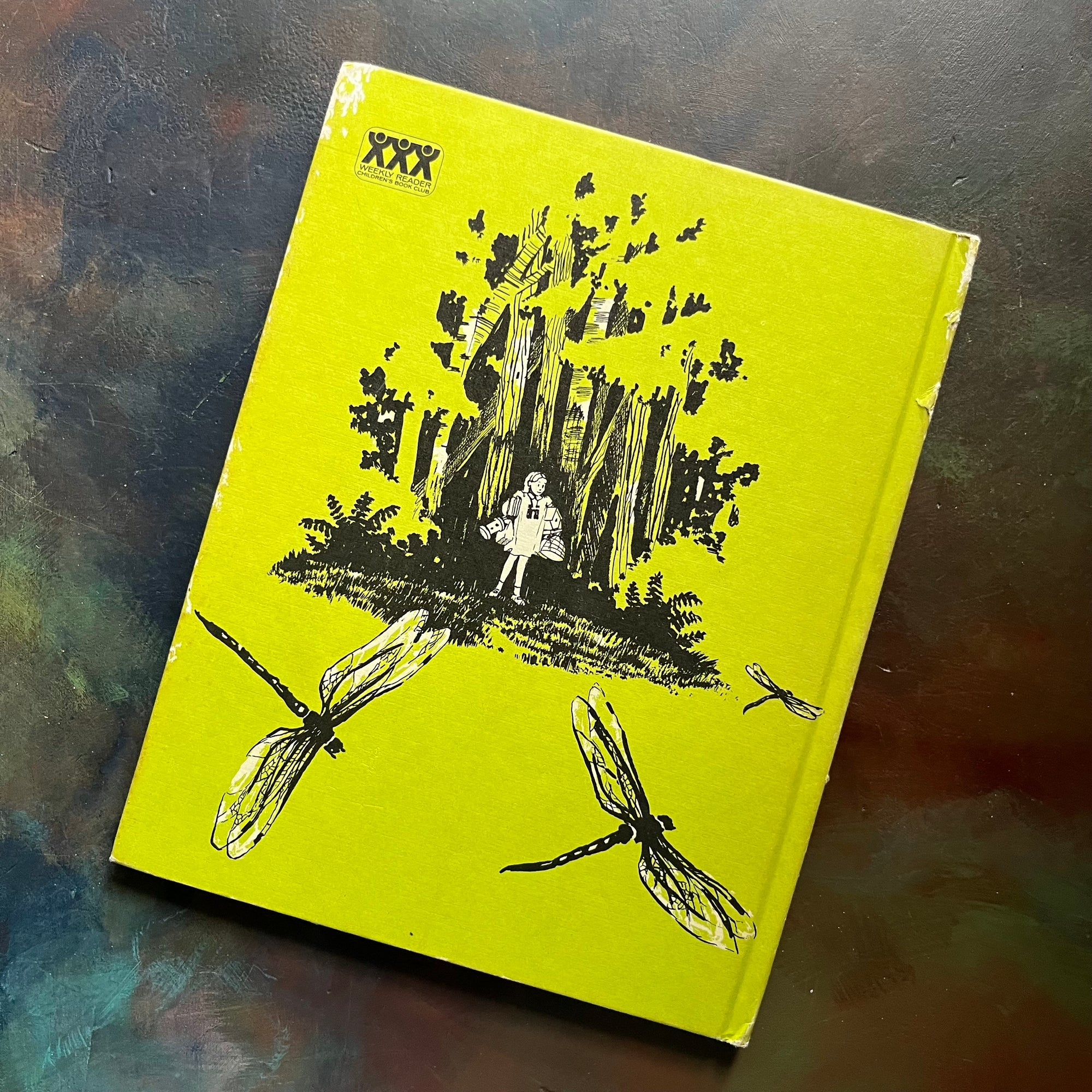 Andrew Henry's Meadow written & illustrated by Doris Burn-vintage children's picture book-1965 Weekly Reader Edition-view of the back cover