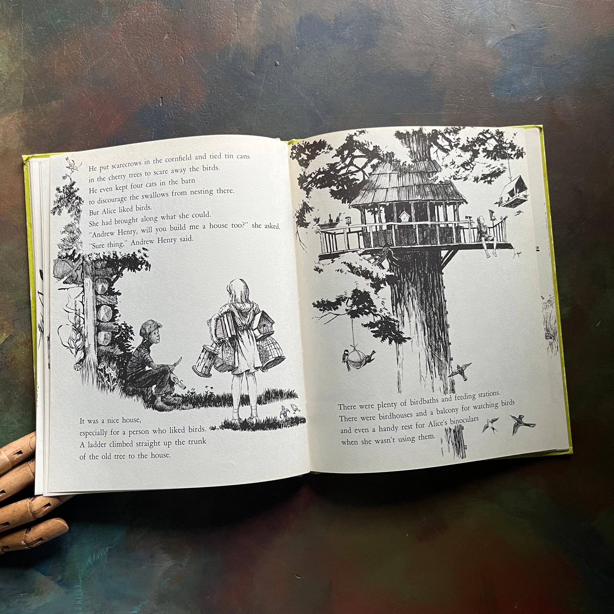 Andrew Henry's Meadow written & illustrated by Doris Burn-vintage children's picture book-1965 Weekly Reader Edition-view of the black & white illustrations