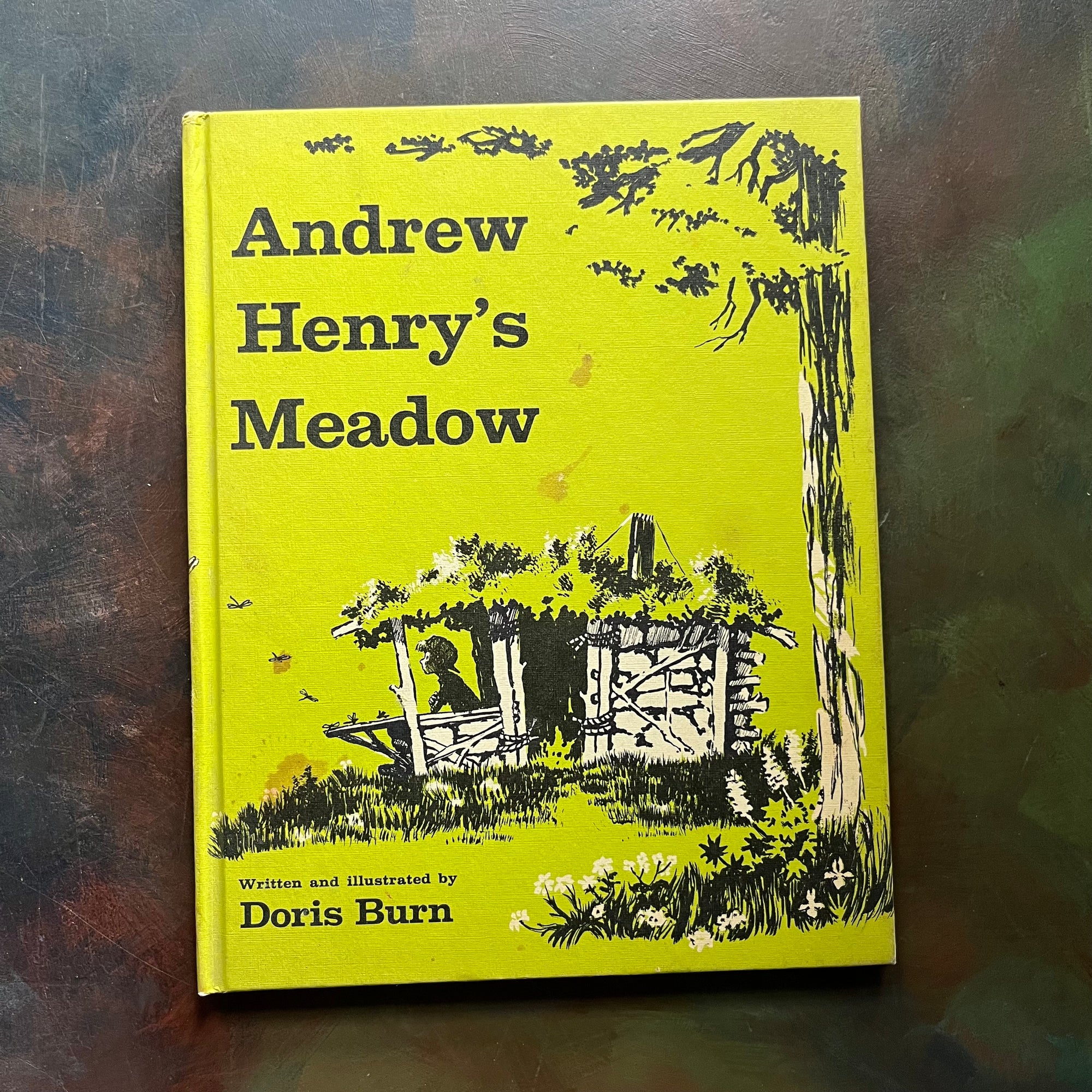 Andrew Henry's Meadow Written & Illustrated by Doris Burn