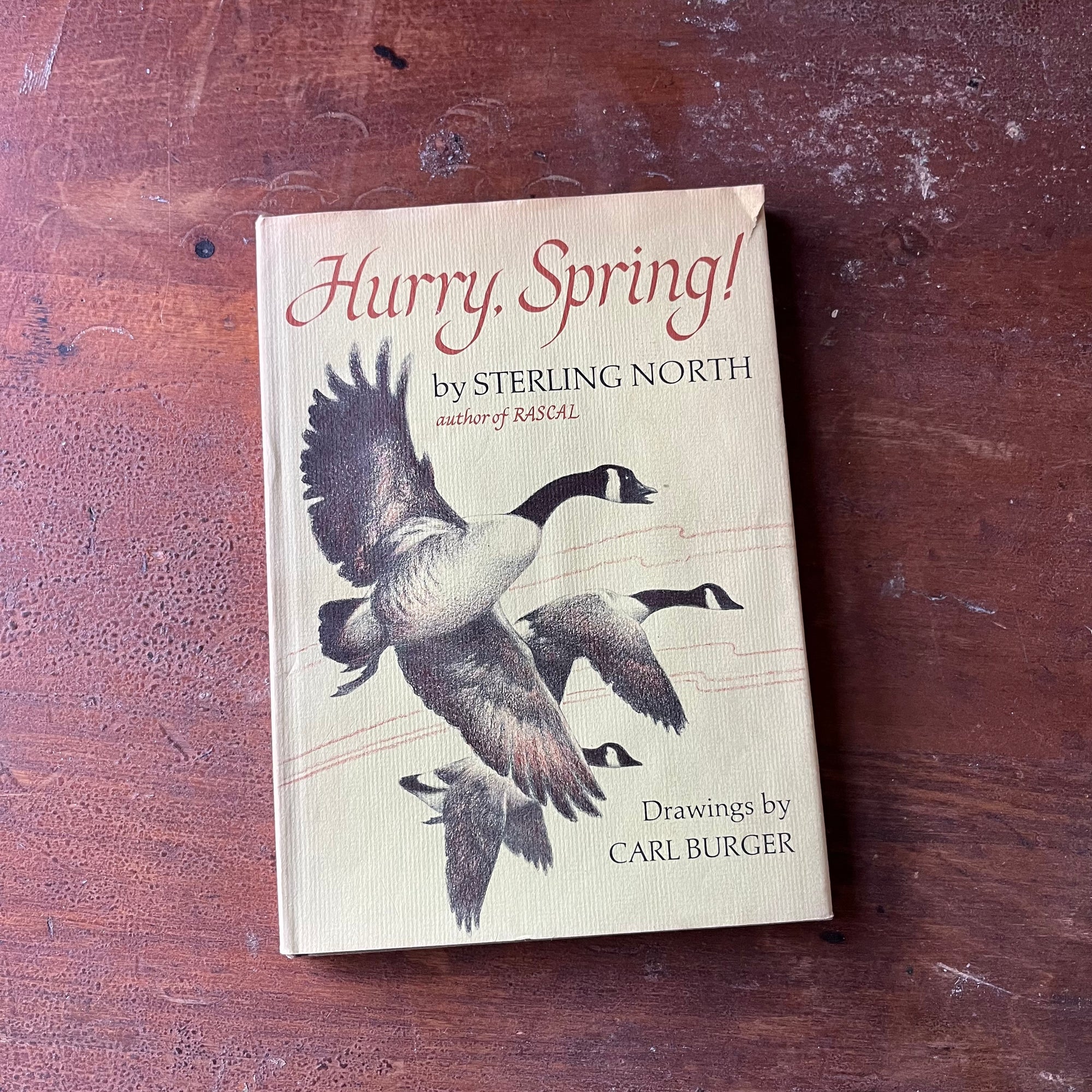 Hurry, Spring! by Sterling North-Illustrated by Carl Burger-vintage children's book about nature-view of the dust jacket's front cover with flying geese along with the title, author  & illustrator listed