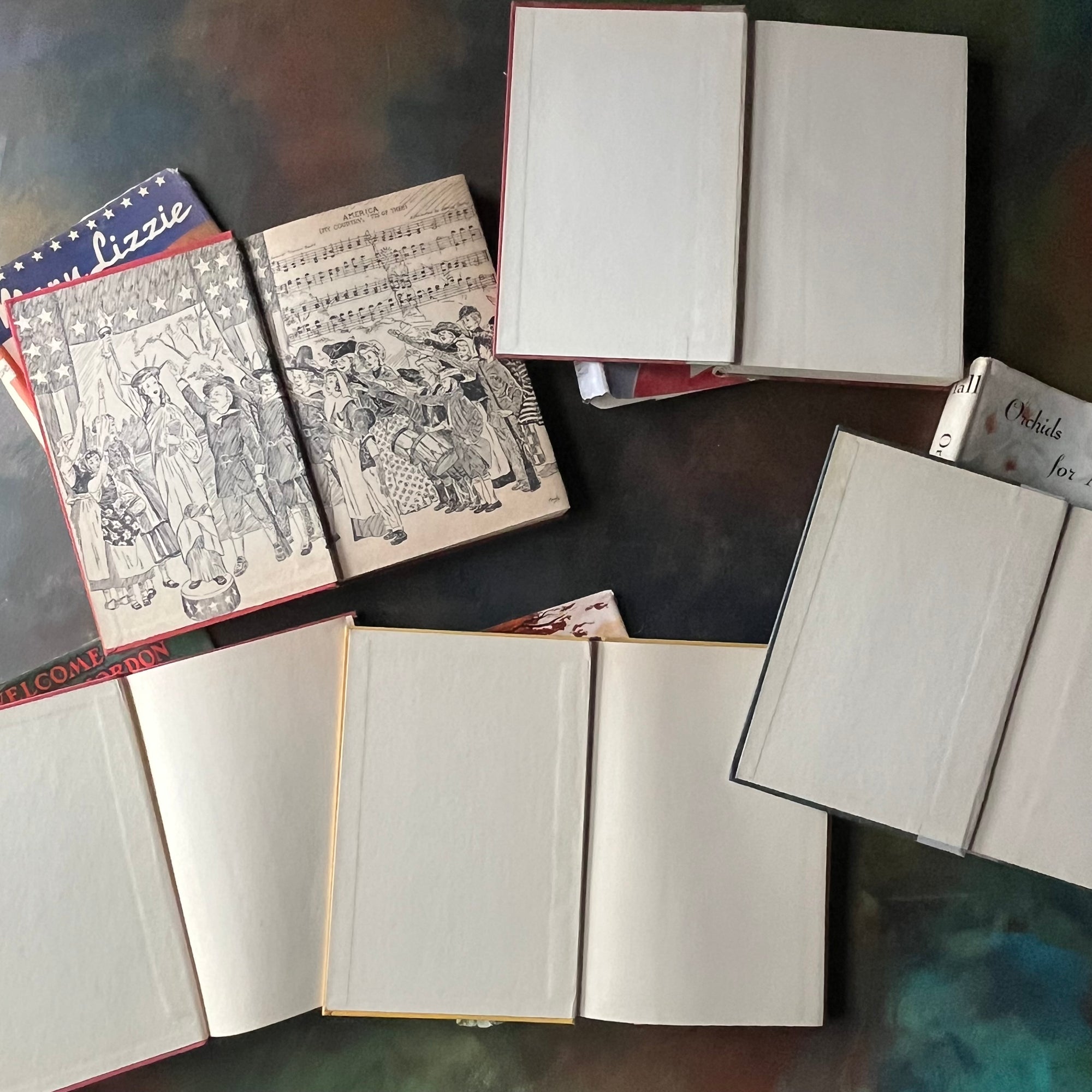 Vintage Stack of Junior Novels