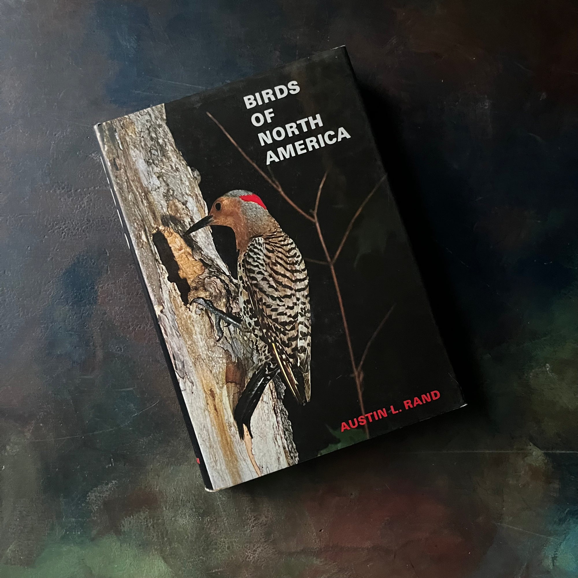 Birds of North America by Austin L. Rand