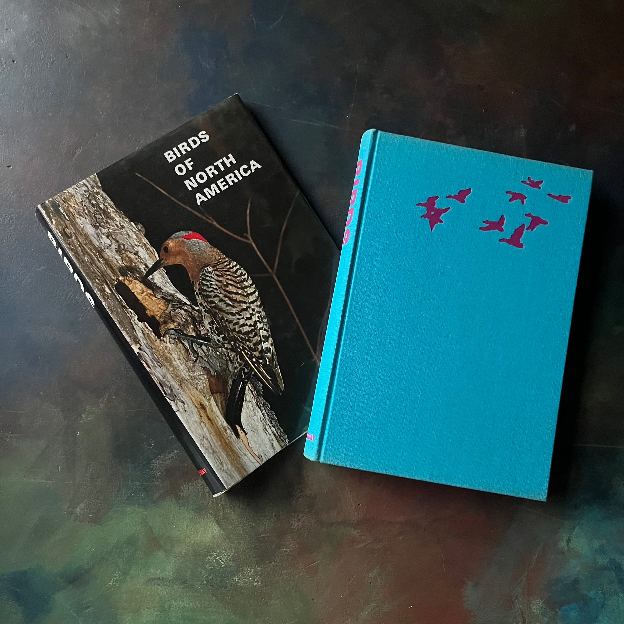 Birds of North America by Austin L. Rand