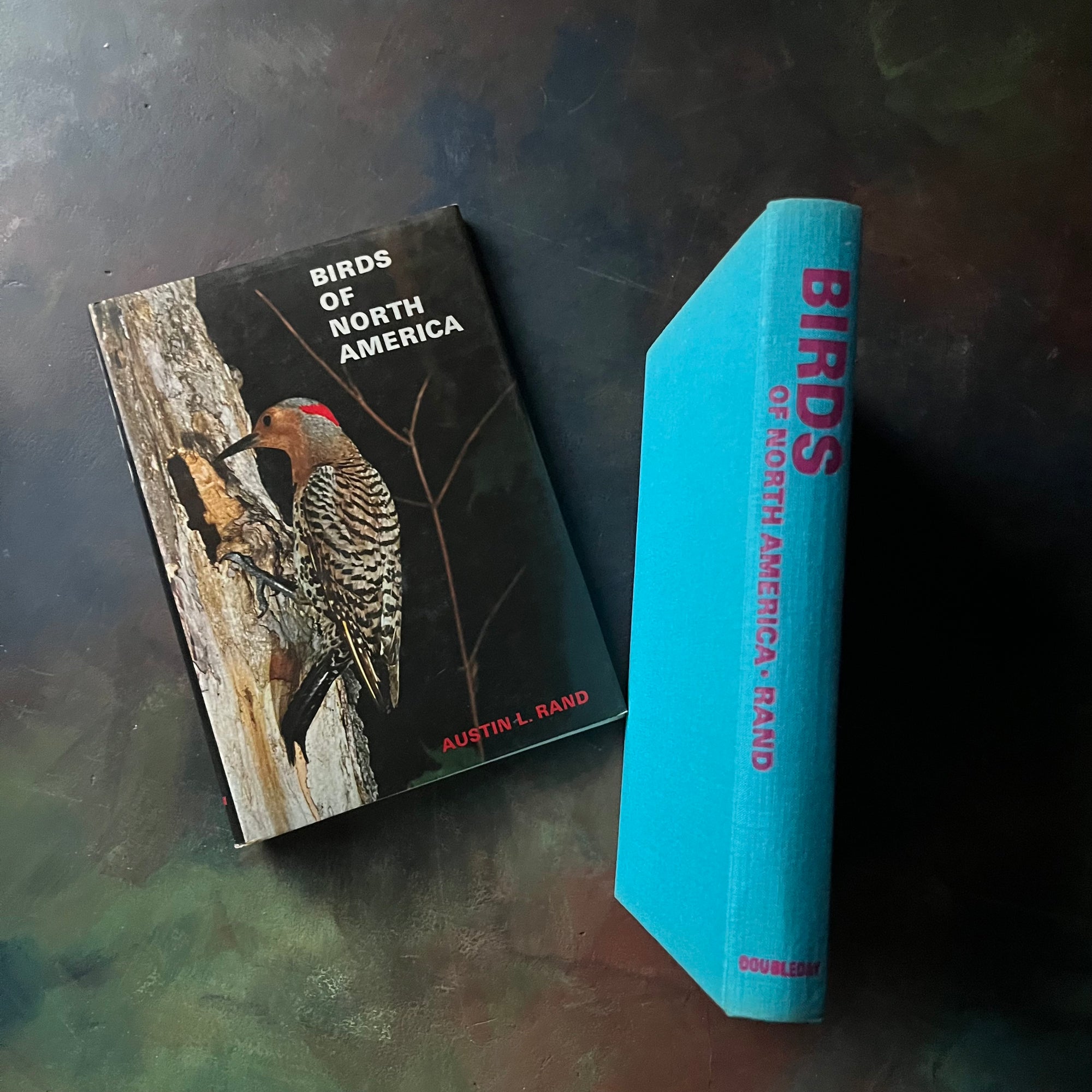 Birds of North America by Austin L. Rand