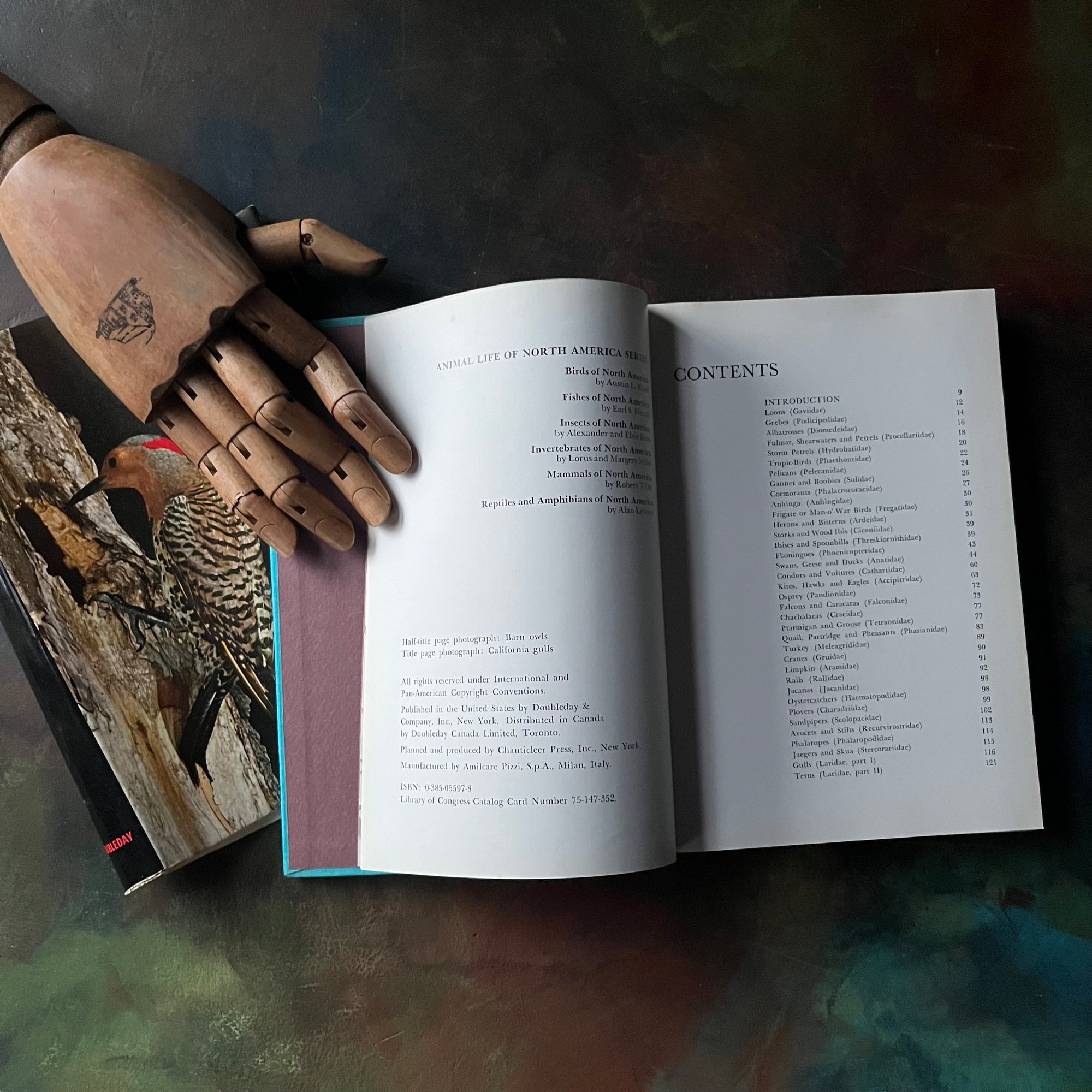 Birds of North America by Austin L. Rand