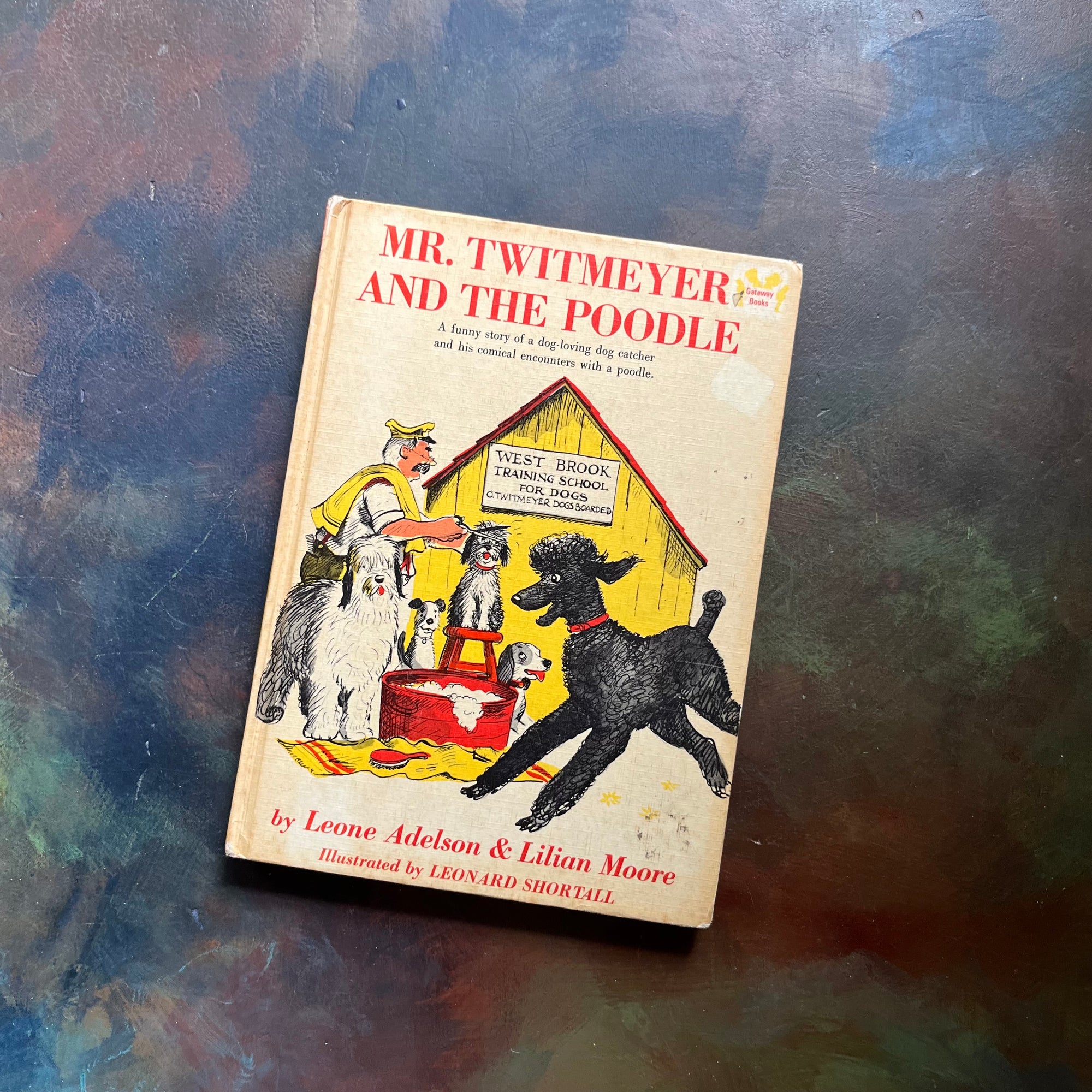 Mr. Twitmeyer and the Poodle by Leone Adelson & Lilian Moore-vintage children's beginner chapter book-The Random House Gateway Books-view of the front cover with an illustration of Mr. Twitmeyer giving a dog a haircut while the large, black poodle runs in front