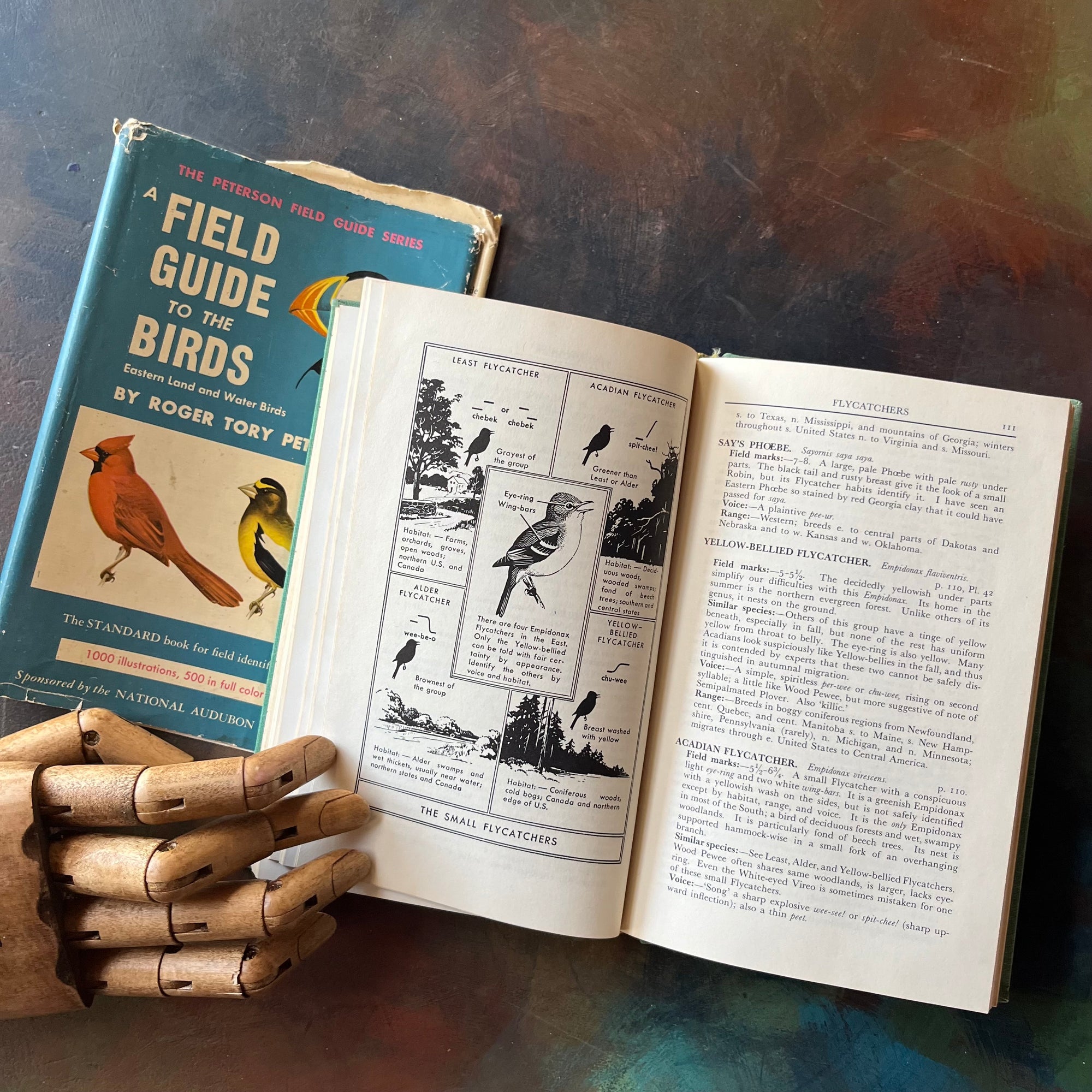 Peterson Field Guide to the Birds by Roger Tory Peterson