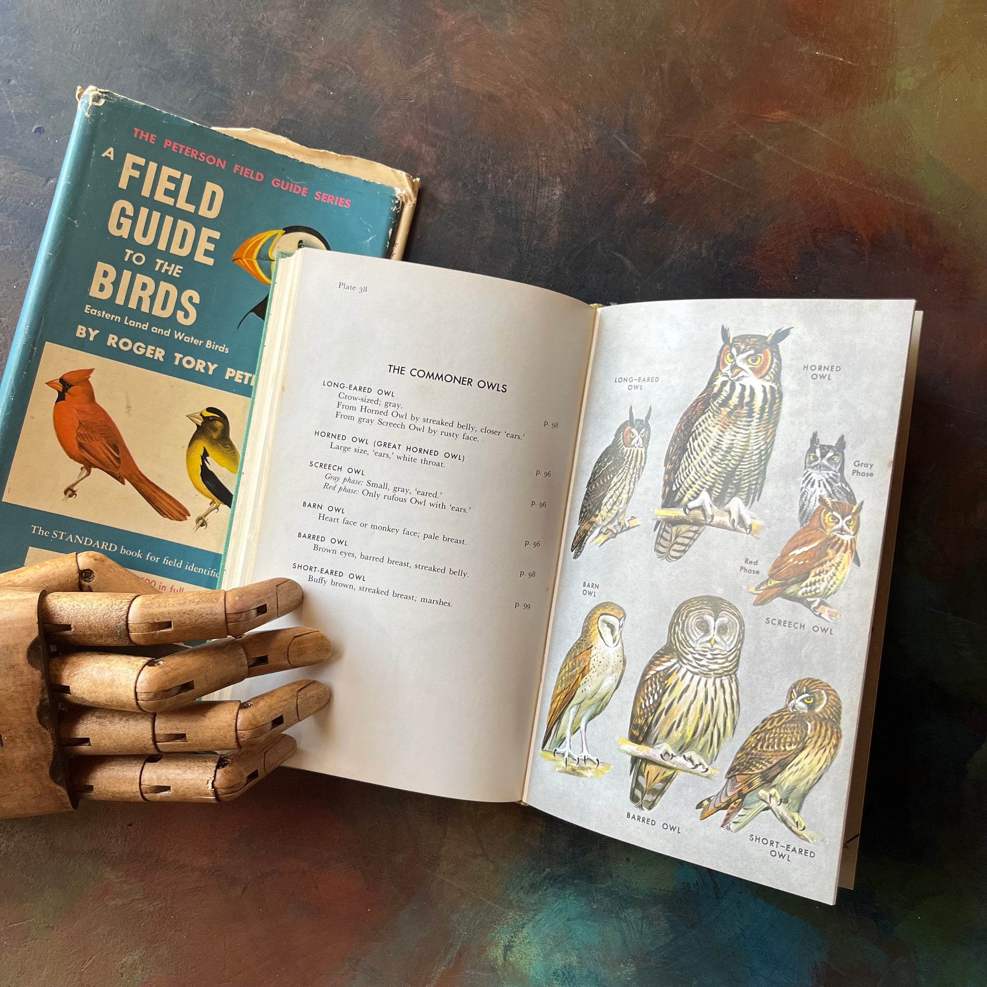 Peterson Field Guide to the Birds by Roger Tory Peterson