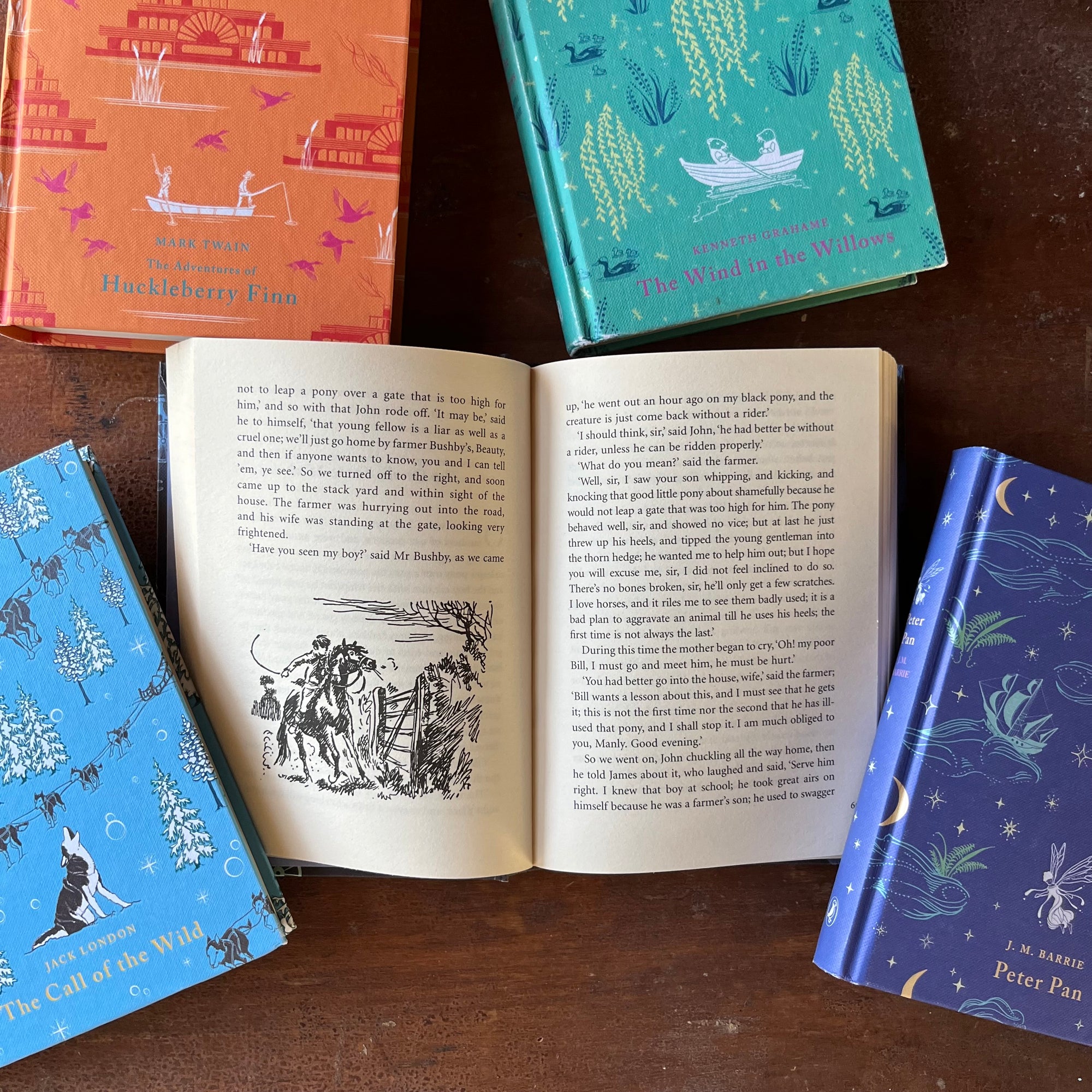 Puffin Children's Classics Book Set-5 Titles-The Adventures of Huckleberry Finn, The Wind in the Willows, The Call of the Wild, Black Beauty & Peter Pan-view of the illustrations