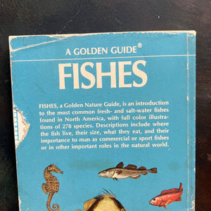 Set of 4 Golden Guides-Pocket Nature Guides-Vintage Nature Guides- Stars, Weather, Fishes & Insects-view of the condition of the back cover of Fishes