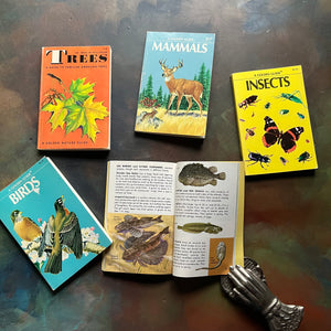 Set of 5 Vintage Golden Guides-Nature Pocket Guides-Insects, Birds, Trees, Mammals & Fishes-illustrations in Fishes