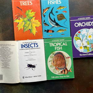Set of Five Vintage Nature Pocket Guides by Golden Guide Press - Insects, Tropical Fish, Orchids, Trees & Fishes - view of the inside cover of insects