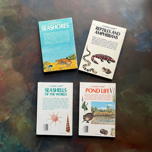 Set of Four Golden Guide Pocket Nature Guides-vintage nature guides-Seashores, Reptiles & Amphibians, Seashells of the World & Pond Life-view of the back covers