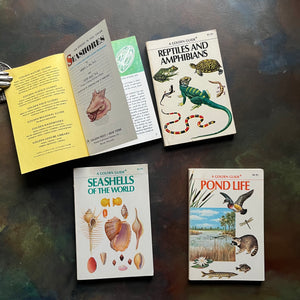 Set of Four Golden Guide Pocket Nature Guides-vintage nature guides-Seashores, Reptiles & Amphibians, Seashells of the World & Pond Life-view of the title page of Seashores