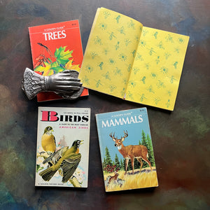 Set of Four Vitnage Golden Guide Nature Pocket Guides -Mammals, Birds, Flowers & Trees-view of the decorative pages in the beginning of flowers