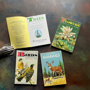 Set of Four Vitnage Golden Guide Nature Pocket Guides -Mammals, Birds, Flowers & Trees-view of the title page