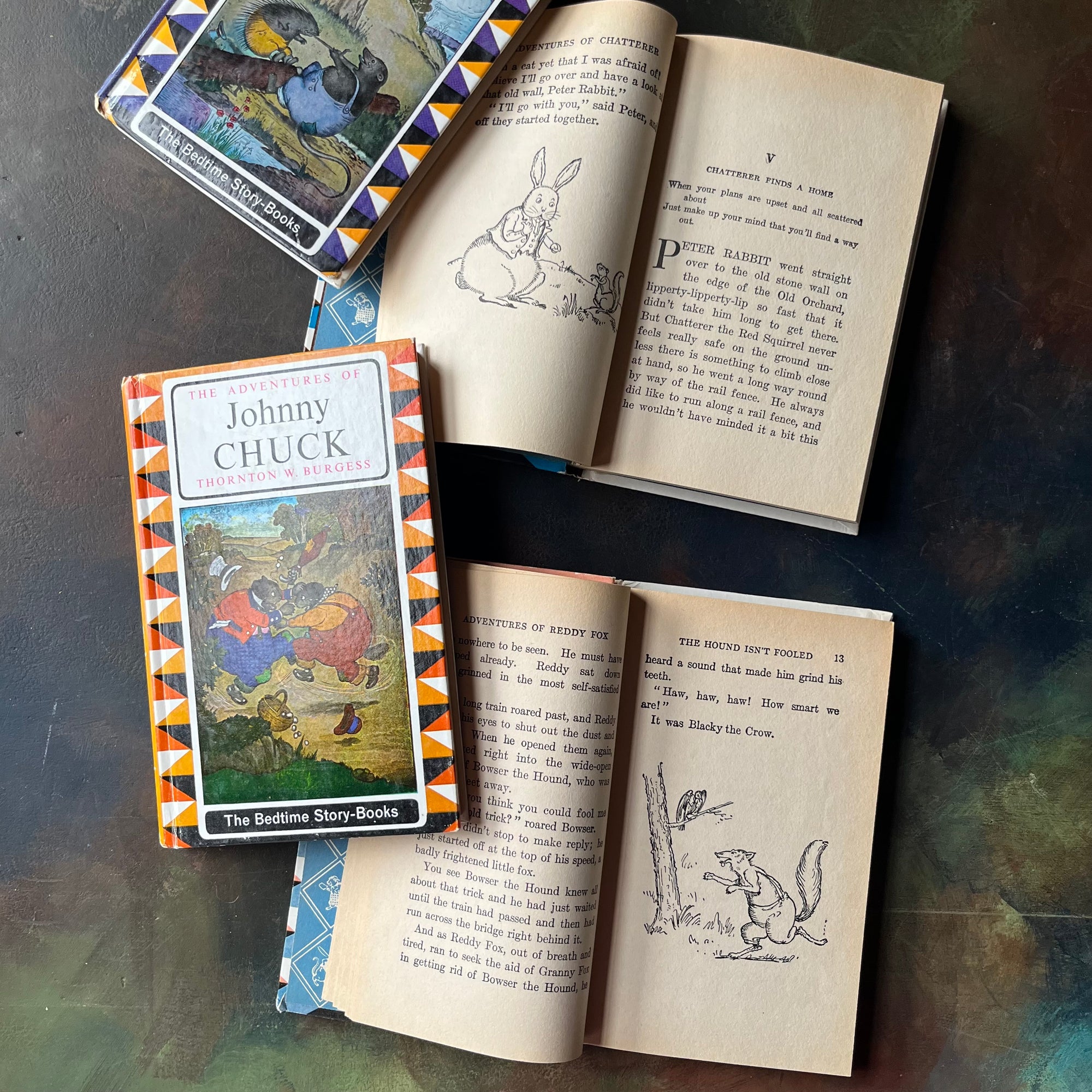 Set of Four of The Bedtime Story-Books written by Thornton W. Burgess with illustrations by Harrison Cady- The Set includes The Adventures of: Prickly Porky, Chatterer the Red Squirrel, Johnny Chuck, and Reddy Fox-vintage read alouds-view of the illustrations