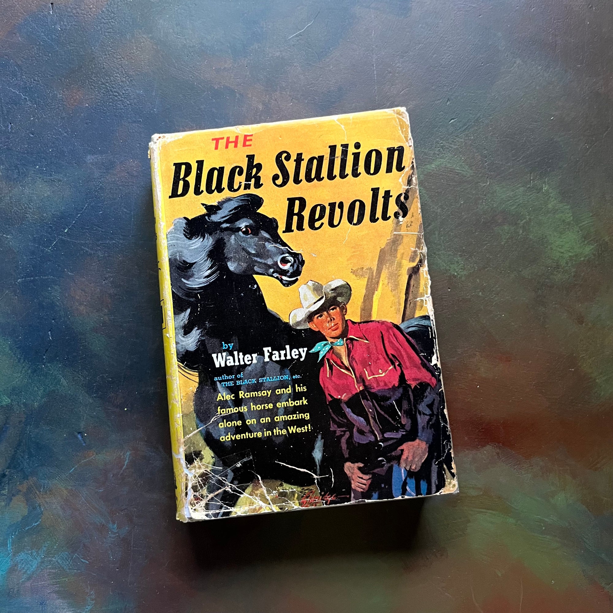 The Black Stallion Revolts by Walter Farley-vintage Black Stallion Serie Book-adventure books for children-view of the dust jacket's front cover