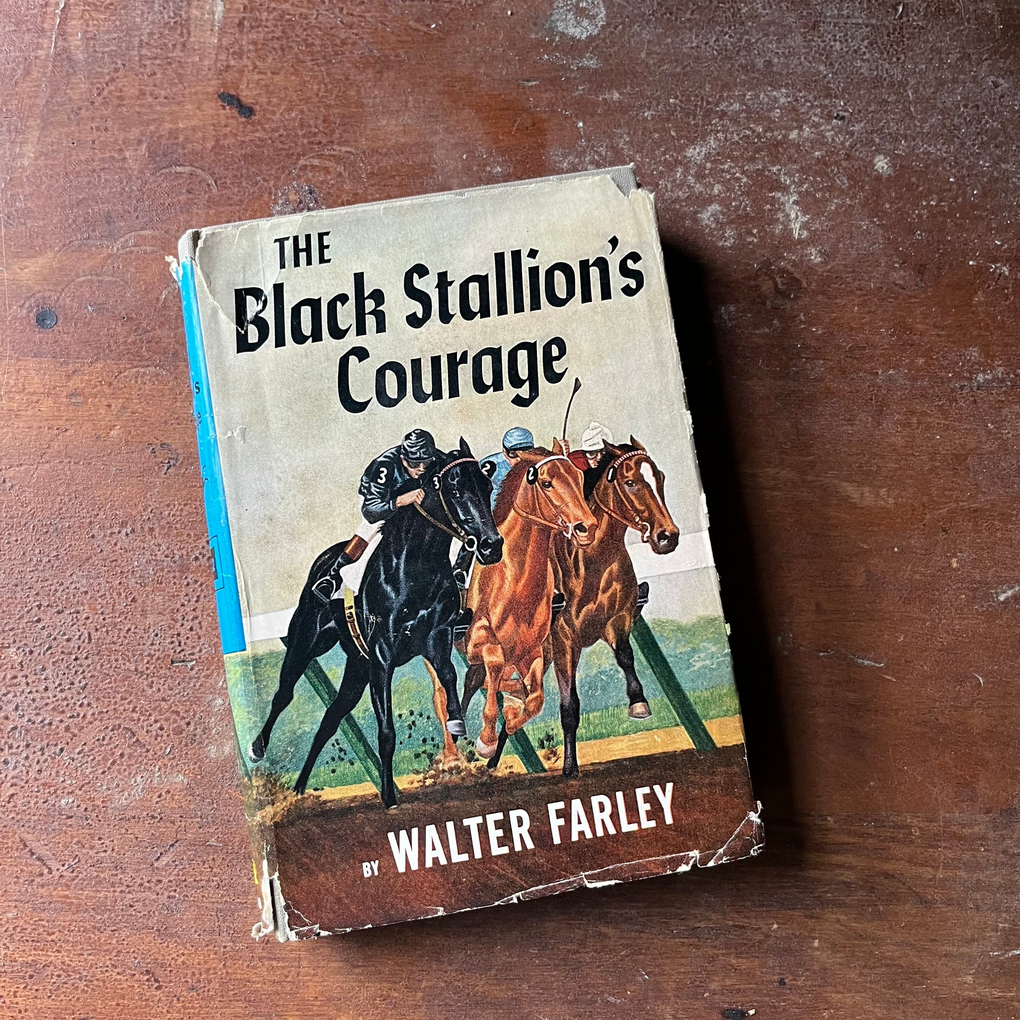 vintage chapter book for children, adventure book for children, The Black Stallion Book Series:  The Black Stallion's Courage #12 written by Walter Farley - view of the dust jacket's front cover