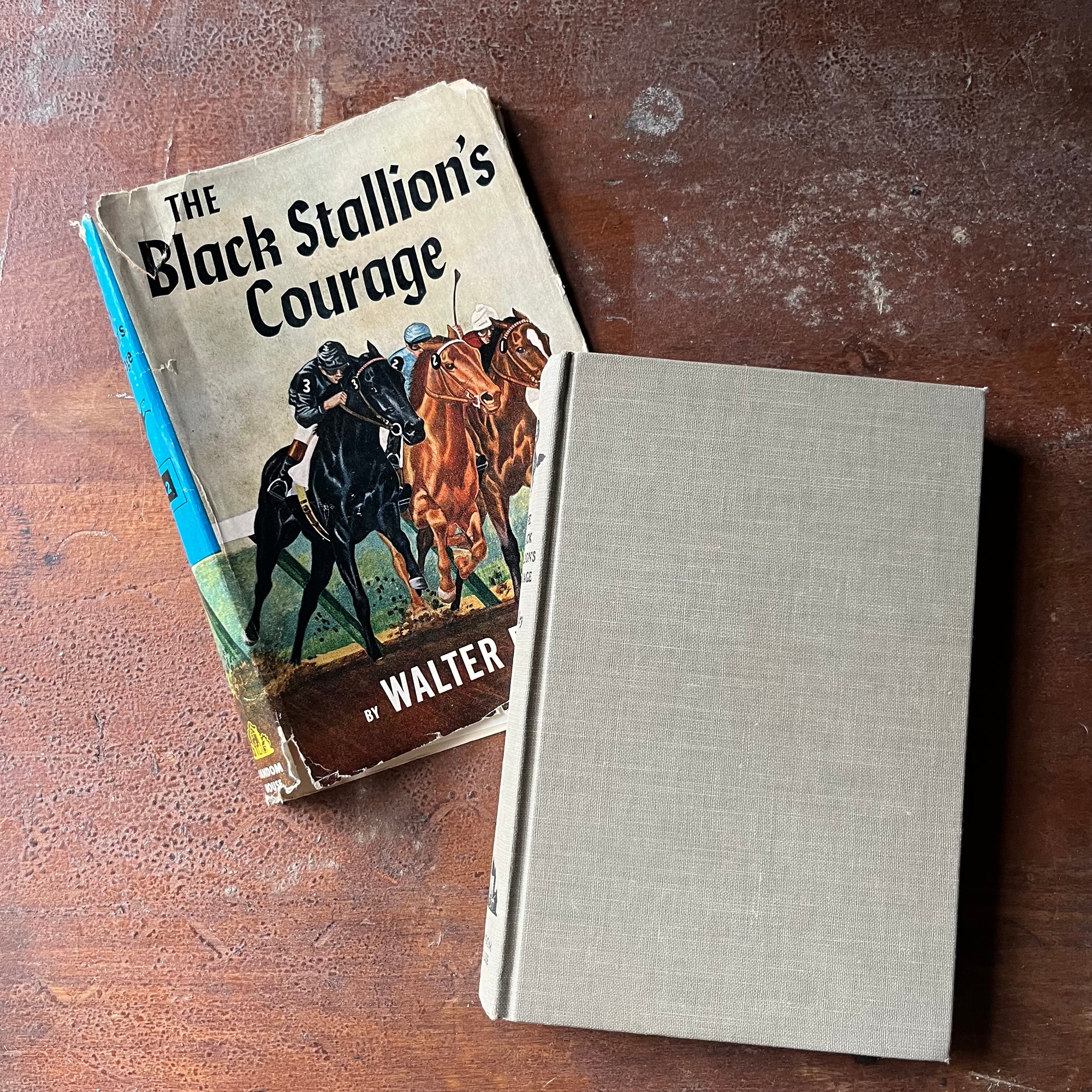 vintage chapter book for children, adventure book for children, The Black Stallion Book Series:  The Black Stallion's Courage #12 written by Walter Farley - view of the front cover