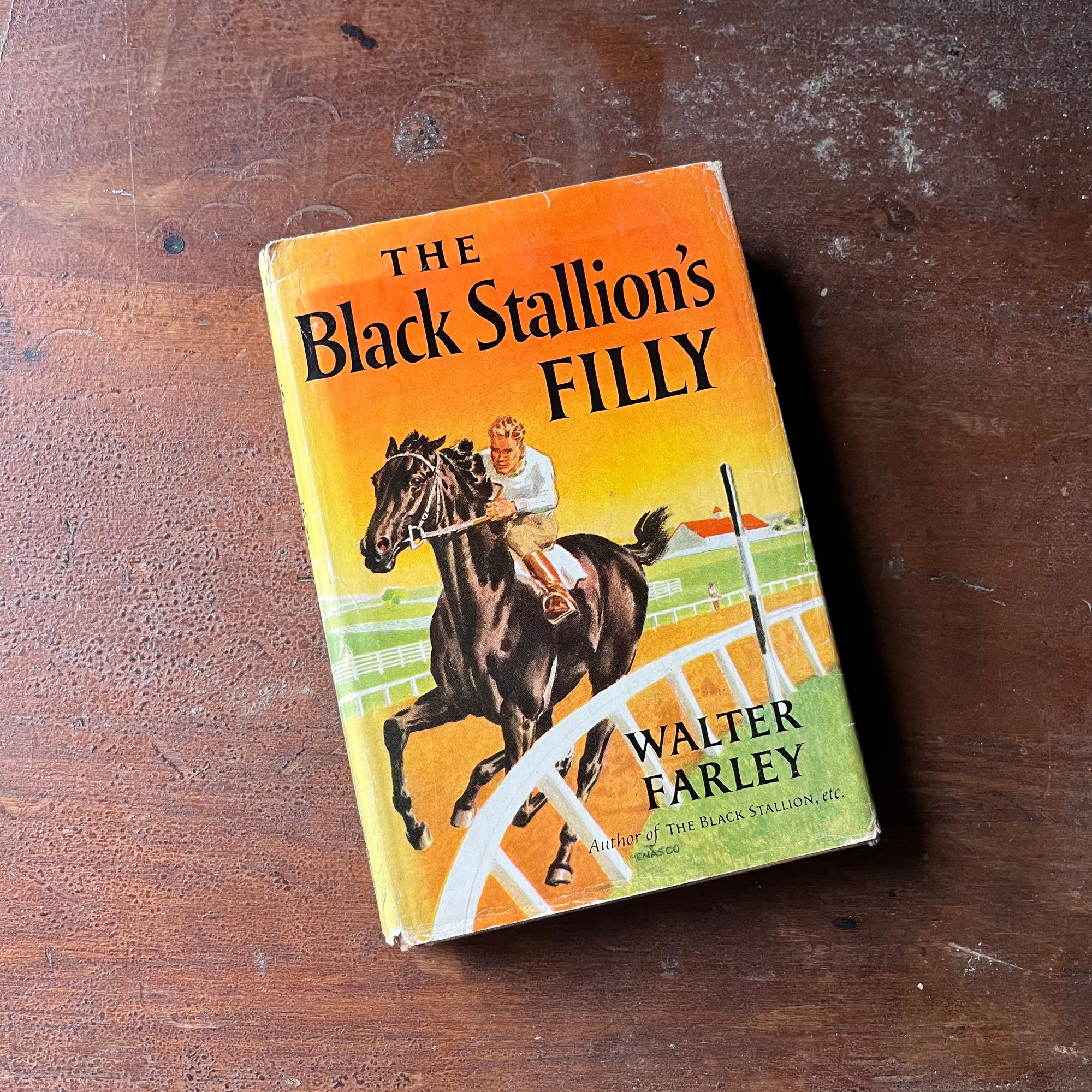 vintage children's chapter book, vintage adventure book for children, The Black Stallion Series - The Black Stallion's Filly written by Walter Farley with illustrations by Milton Menasco - view of the dust jacket's front cover