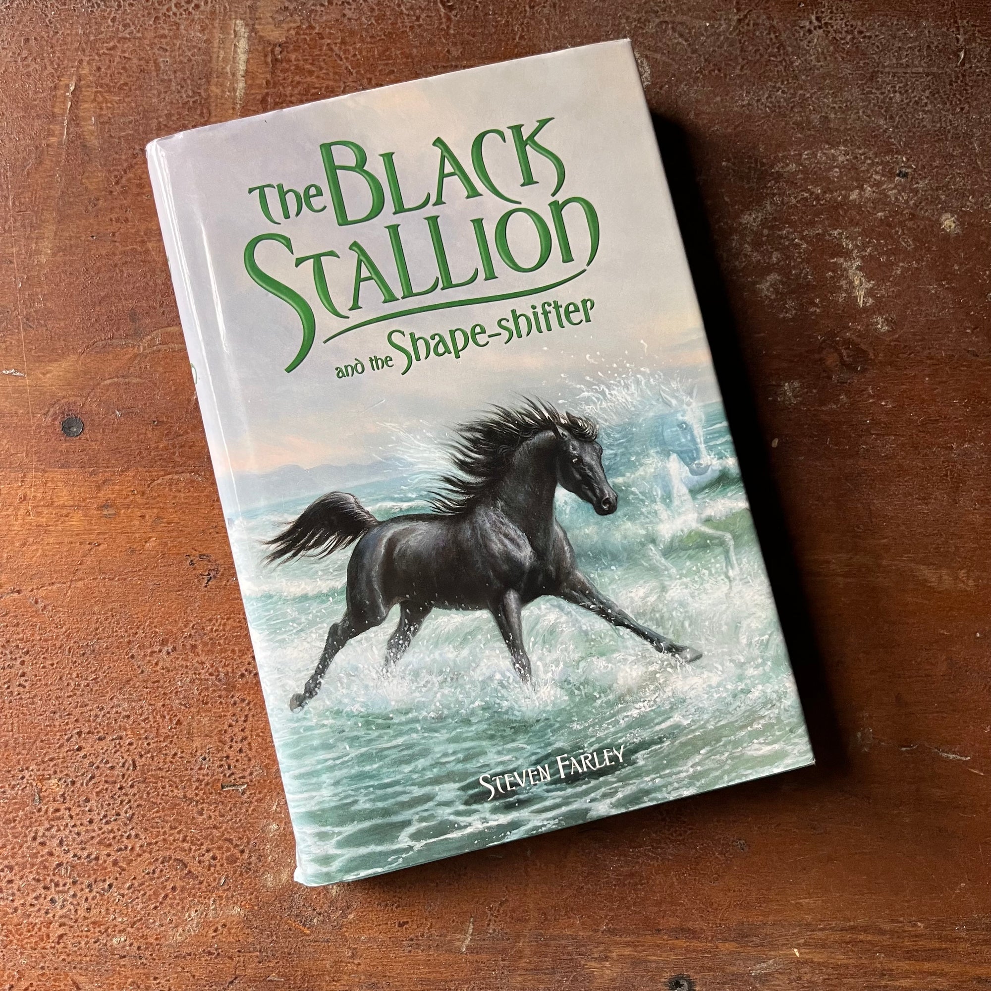 The Black Stallion Book Series, children's chapter book - The Black Stallion and the Shape Sifter by Stephen Farley (the son of Walter Farley) - view of the dust jacket's front cover