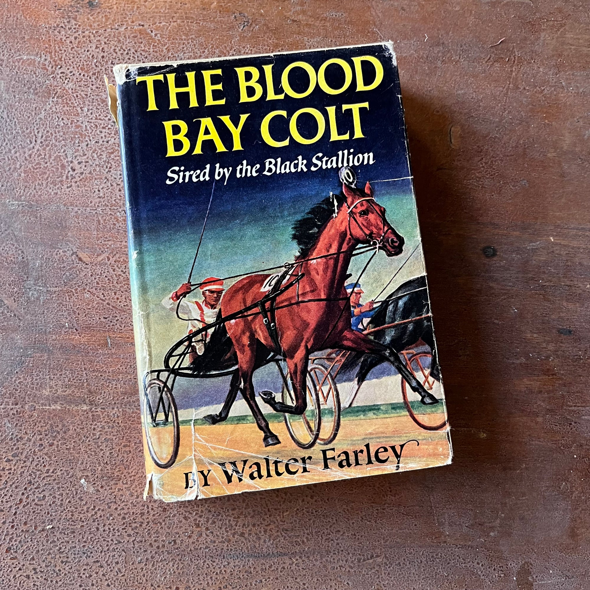 vintage children's chapter book, Black Stallion Book Series, vintage books about horses & horse racing - The Blood Bay Colt Sire by the Black Stallion written by Walter Farley with illustrations by Milton Menasco - view of the dust jacket's front cover with an illustration of the blood bay colt in a sulky race