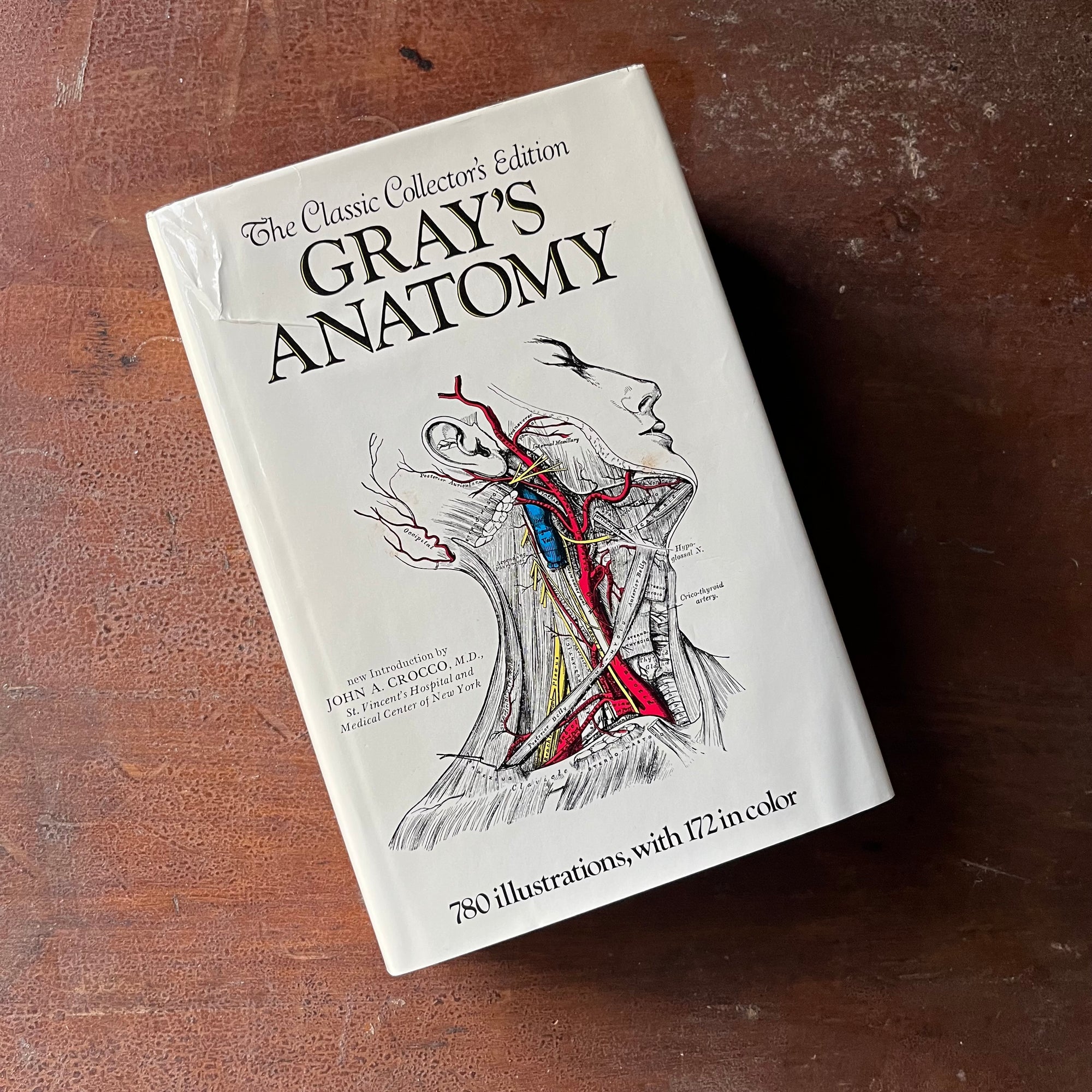 vintage medical illustration book - The Classic Collector's Edition of Gray's Anatomy by Henry Gray with 780 Illustrations - view of the dust jacket's front cover with an illustration of the human neck in color