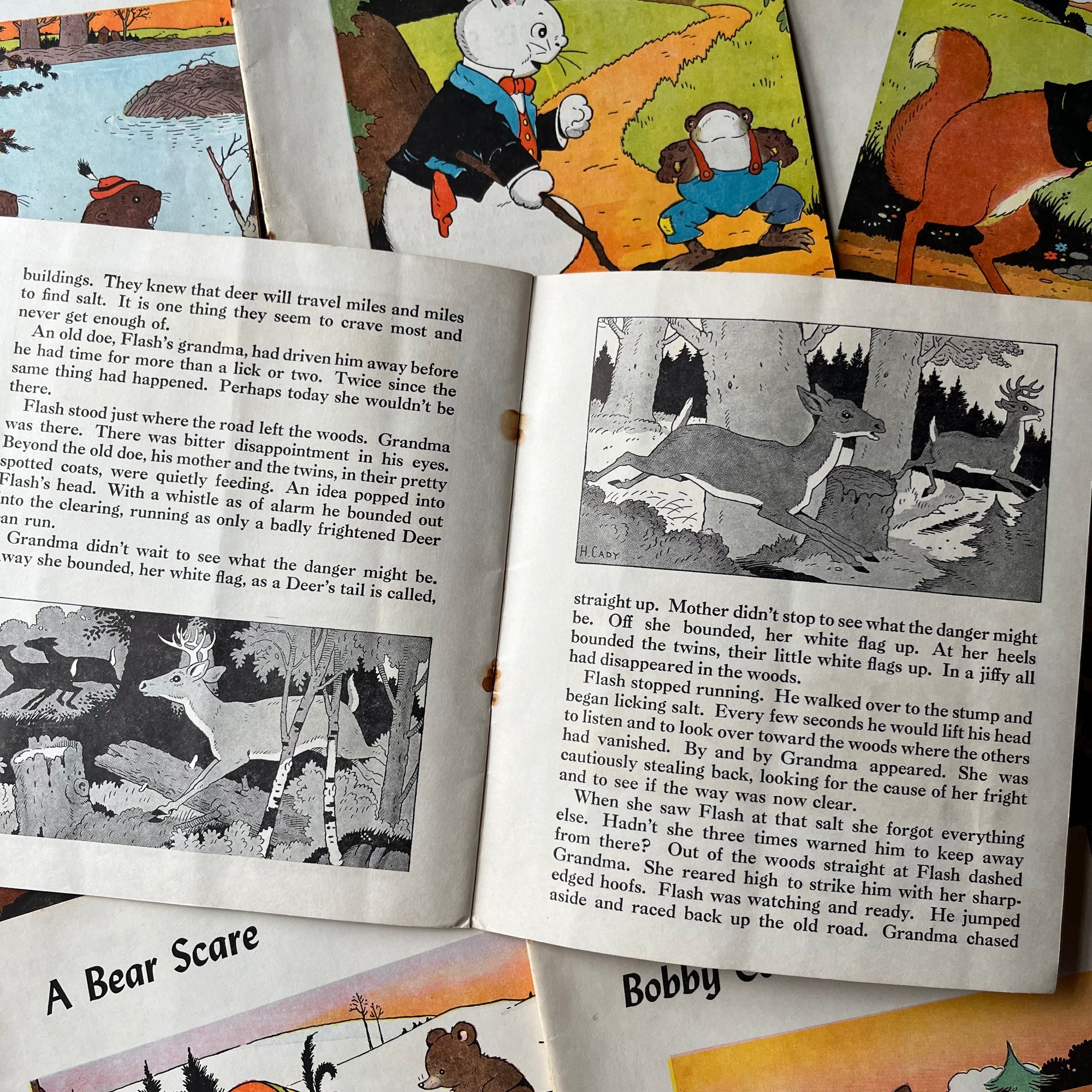 Thorton Burgess Animal Library-8 Colorful Storybooks in Original Box-vintage children's books-black & white illustrations inside Flash - note the condition of the folded pages in this one