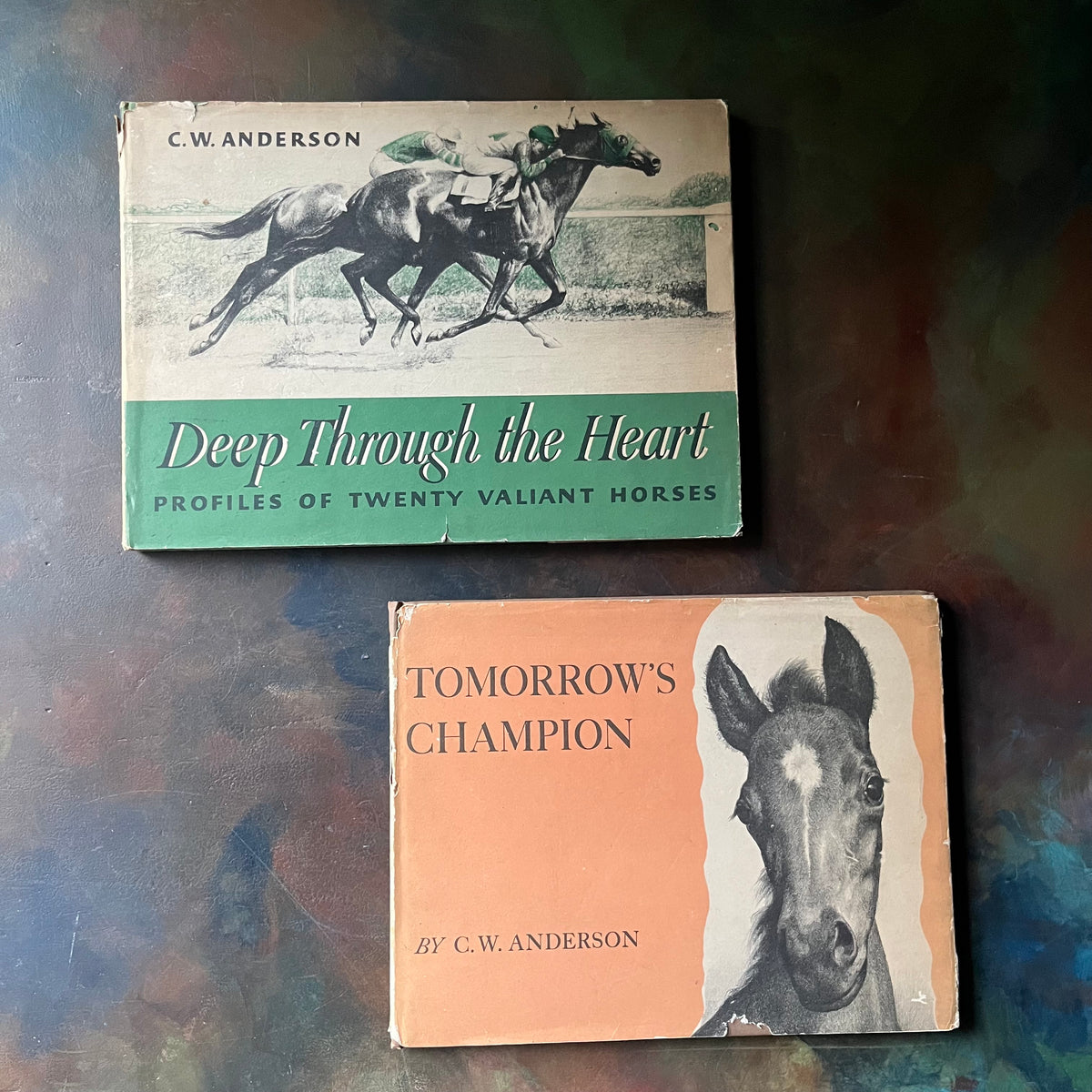 Tomorrow's Champion-Deep Through the Heart-written and illustrated by C. W. Anderson-vintage horse books-thoroughbred books-collectible horse books-signed by Artist Charles Hargens - view of the dust jacket's covers