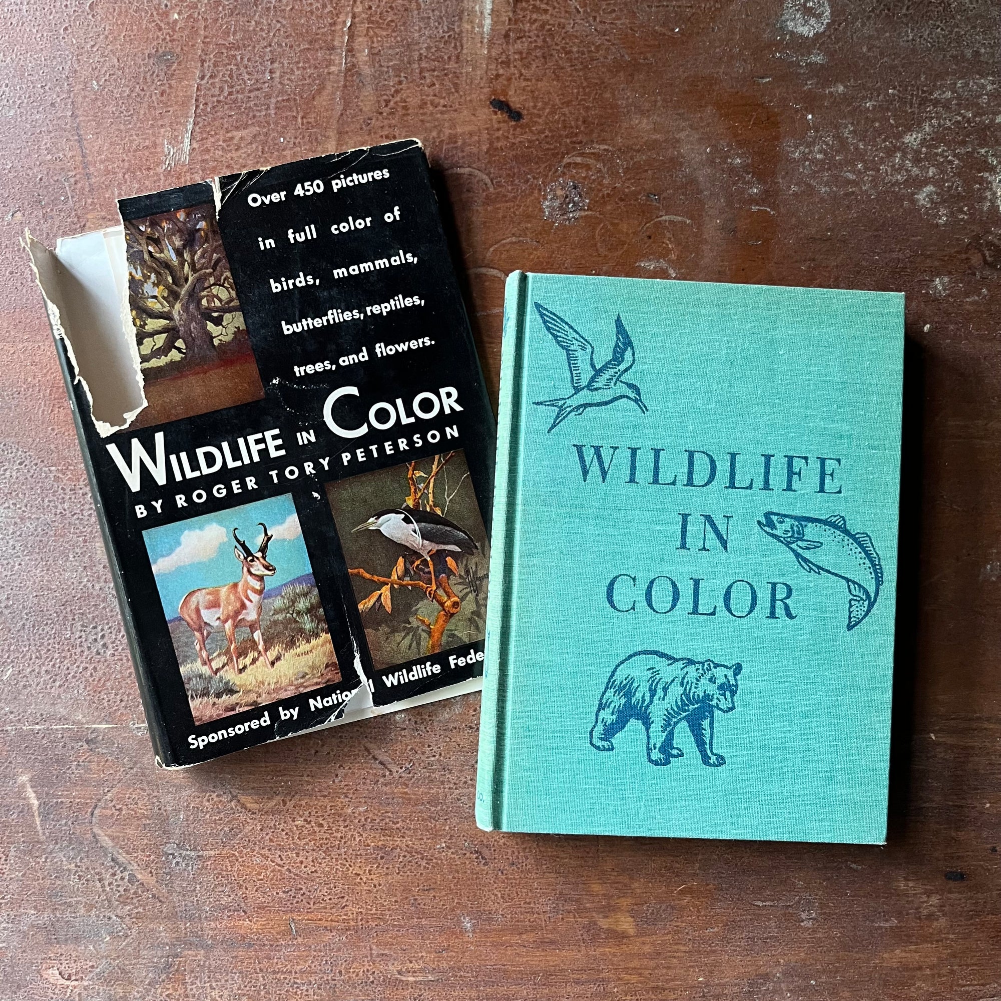 vintage nature guide - Wildlife in Color written & illustrated (includes other illustrators as well) by Roger Tory Peterson - sponsored by National Wildlife Federation - view of the front cover with title in the middle & three illustrations surrounding the title - a bird, fish & a bear - all drawn by Peterson - the dust jacket is tucked behind the book