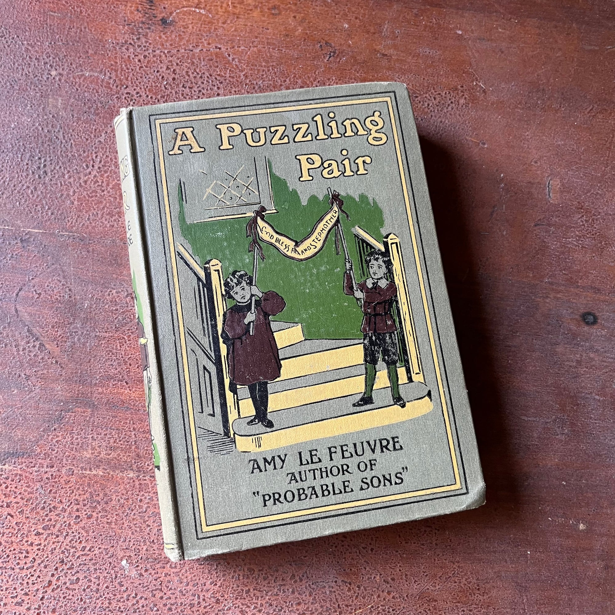 A Puzzling Pair by Amy Le Feuvre - view of the front cover
