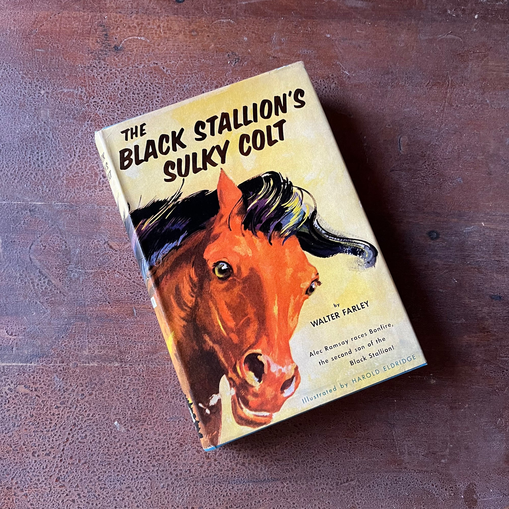 Log Cabin Vintage – vintage children’s book, children’s book, chapter book, The Black Stallion Series - The Black Stallion's Sulky Colt by Walter Farley with Illustrations by Harold Eldridge - view of the dust jacket's front cover