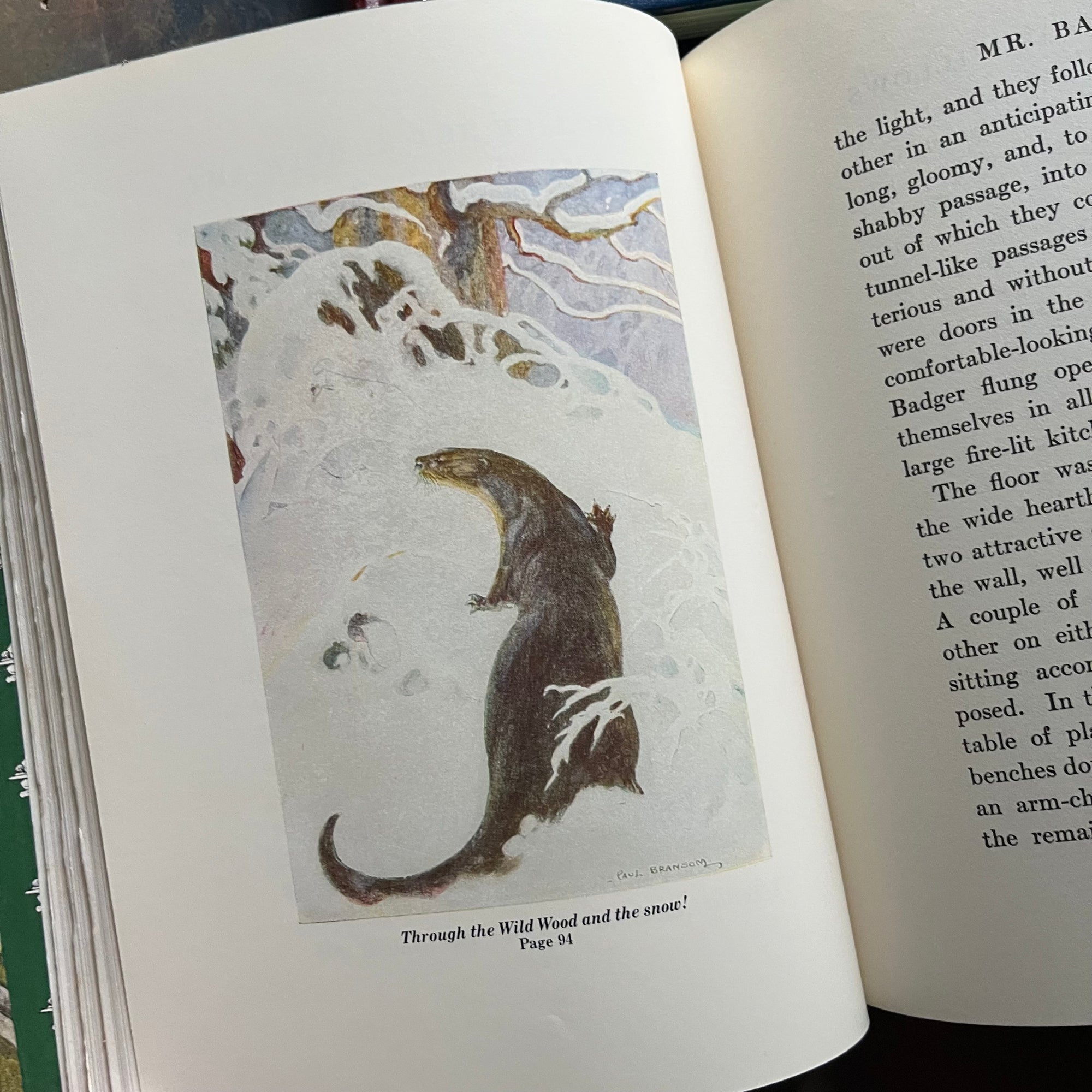 1980's Children's Classics-Call of the Wild-Wind in the Willows-The Legend of Pocahontas-The Jungle Book-classic children's literature-view of one of the full-color illustrations