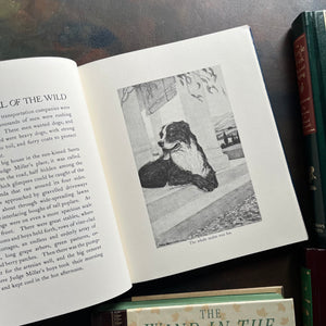 1980's Children's Classics-Call of the Wild-Wind in the Willows-The Legend of Pocahontas-The Jungle Book-classic children's literature-view of one of the black & white illustrations