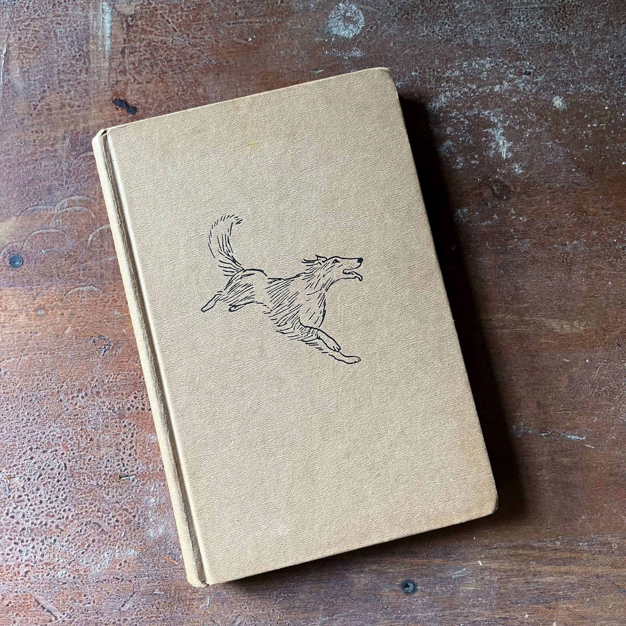 vintage children's chapter book, Weekly Reader Children's Book Club Edition, A Dog on Barkham Street by Mary S. Stolz with illustrations by Leonard Shortall 1961 Edition - view of the front cover with a running collie embossed on it