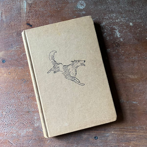 vintage children's chapter book, Weekly Reader Children's Book Club Edition, A Dog on Barkham Street by Mary S. Stolz with illustrations by Leonard Shortall 1961 Edition - view of the front cover with a running collie embossed on it
