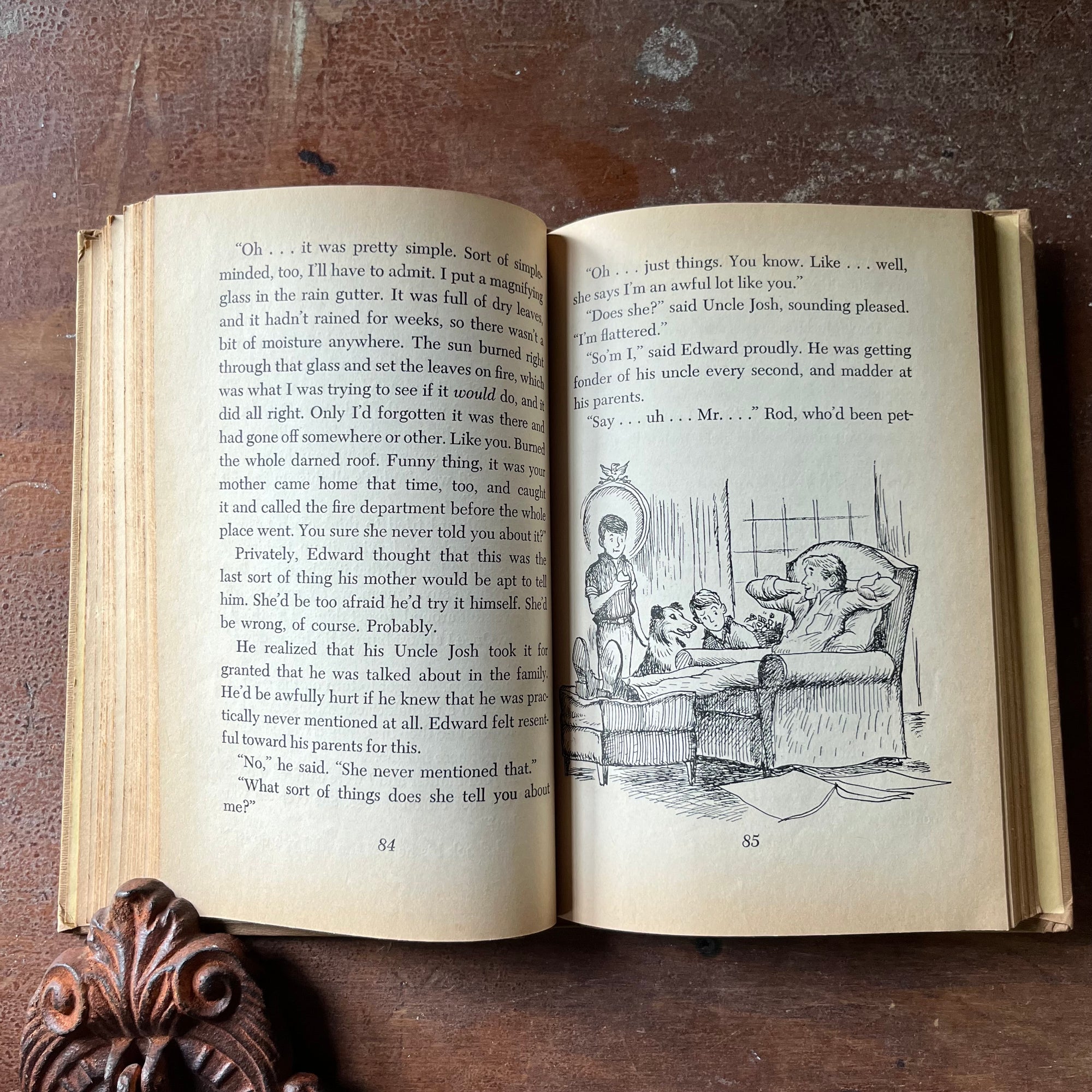 vintage children's chapter book, Weekly Reader Children's Book Club Edition, A Dog on Barkham Street by Mary S. Stolz with illustrations by Leonard Shortall 1961 Edition - view of the illustrations