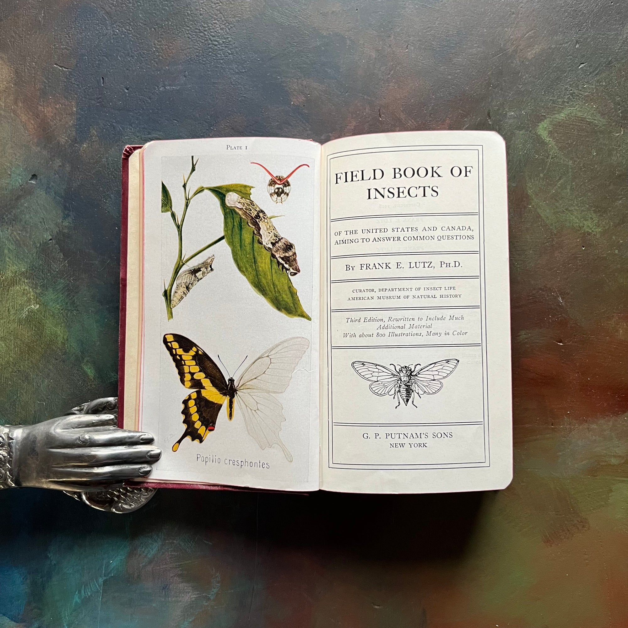 Frank Insects A Field Book of Insects by Frank E. Lutz - Log Cabin Vintage