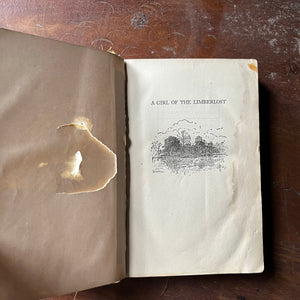 antique novel, 1909 Novel - A Girl of Limberlost written by Gene Stratton-Porter with illustrations by Wladyslaw T. Benda - view of the half title page