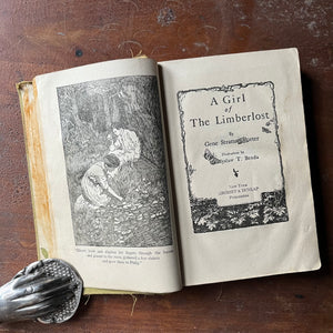 antique novel, 1909 Novel - A Girl of Limberlost written by Gene Stratton-Porter with illustrations by Wladyslaw T. Benda - view of the title page