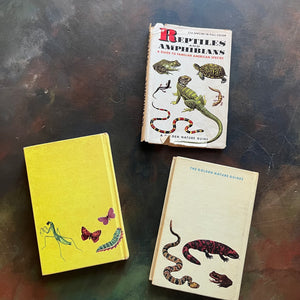 Pair of two Hardcover A Golden Nature Guides-Reptiles and Amphibians and Insects-vintage nature guides-view of the back covers also depicting a few of the species features in the books
