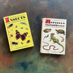 Pair of two Hardcover A Golden Nature Guides-Reptiles and Amphibians and Insects-vintage nature guides-view of the front covers noting the dust jacket of Reptiles and Amphibians both depicting illustrations of the topics they cover