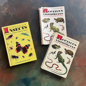 Pair of two Hardcover A Golden Nature Guides-Reptiles and Amphibians and Insects-vintage nature guides-view of the front covers
