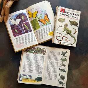Pair of two Hardcover A Golden Nature Guides-Reptiles and Amphibians and Insects-vintage nature guides-view of the illustrations found within the pages
