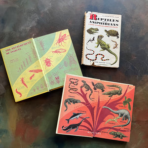 Pair of two Hardcover A Golden Nature Guides-Reptiles and Amphibians and Insects-vintage nature guides-view of the inside covers with gorgeous illustrations showing reptiles and amphibians and insects