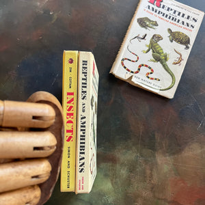 Pair of two Hardcover A Golden Nature Guides-Reptiles and Amphibians and Insects-vintage nature guides-view of the spines