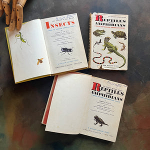 Pair of two Hardcover A Golden Nature Guides-Reptiles and Amphibians and Insects-vintage nature guides-view of the title pages noting the name written on both