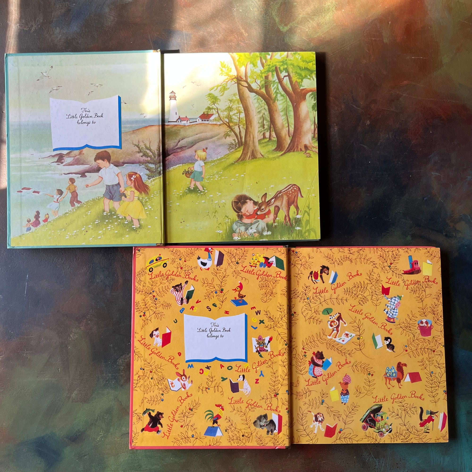 A Pair of Little Golden Book Collection-Friendly Tales-Eloise Wilkin Stories-Margaret Wise Brown-Garth Williams-vintage children's picture books-view of the inside covers