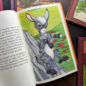 A Serendipity Book Set written by Stephen Cosgrove with illustrations by Robin James-1980s children's books-vintage picture books-view of the illustrations